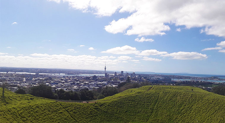 Coast to Coast Path (Grafton to Maungakiekie) – View from Maungawhau summit, overlooking the city.